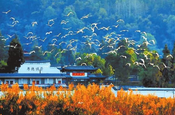 Tengchong: a poetic paradise inhabited by birds