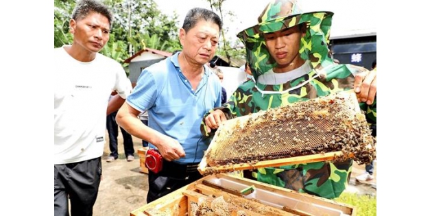 中国船舶集团助力“甜蜜产业”勐腊入村开展养蜂技术培训