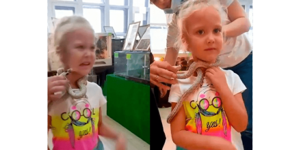 5岁女孩脖子挂蛇拍照 被蛇咬伤脸部