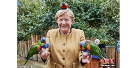 德国总理默克尔逗趣瞬间：和鹦鹉合照被啄(图)