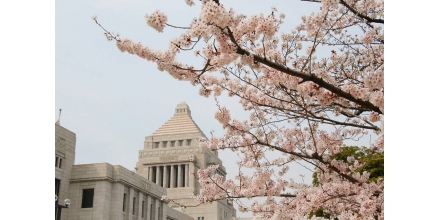 The Japanese government decided to dissolve the house of Representatives, and the election will be h